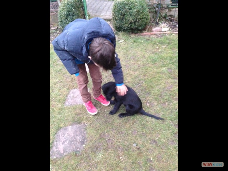 Claudius 1-3-13