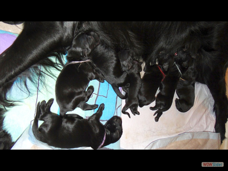 20-12-2012 (9)_b