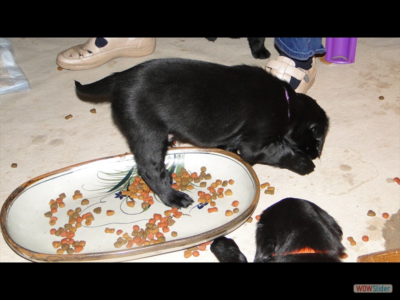 22.1.13 Lila mit den F��en im Essen