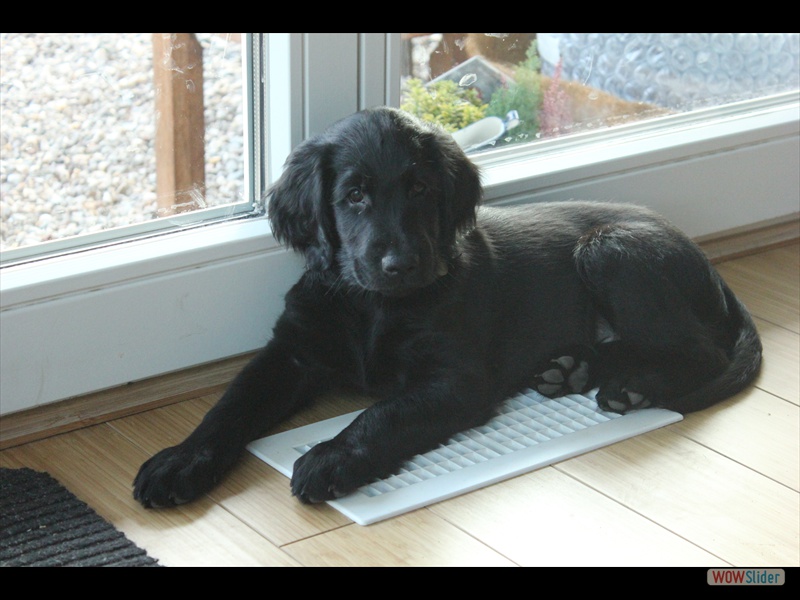 Cooper 15.2.13