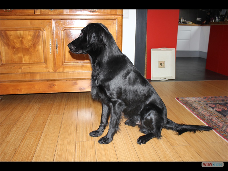 Cooper 20-10-13
