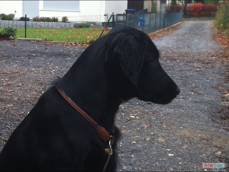 Cooper 5-12-13