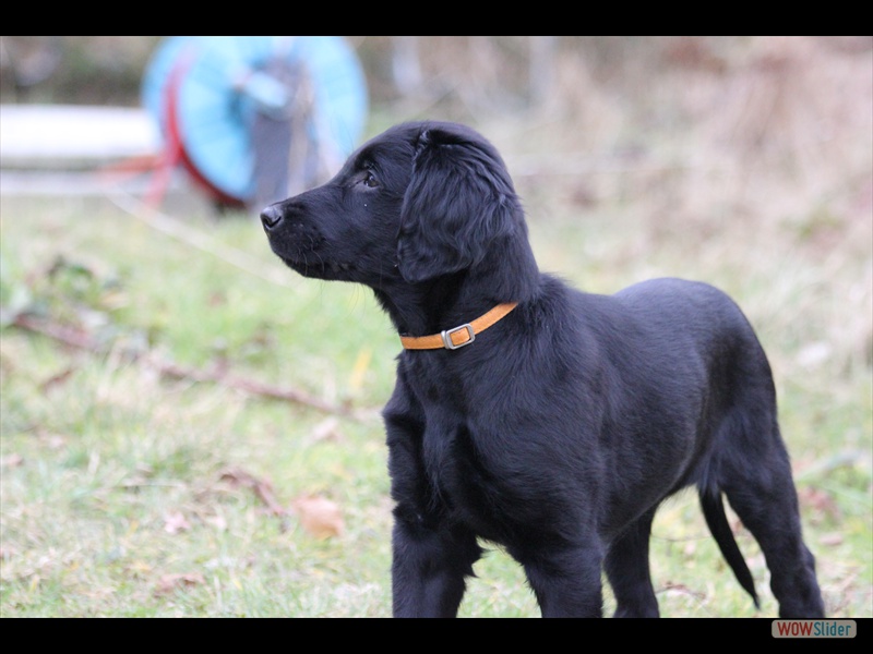 Cooper 8-3-13