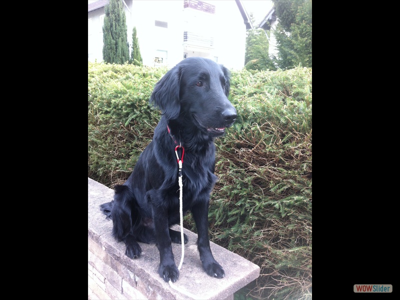 Cooper April 2014