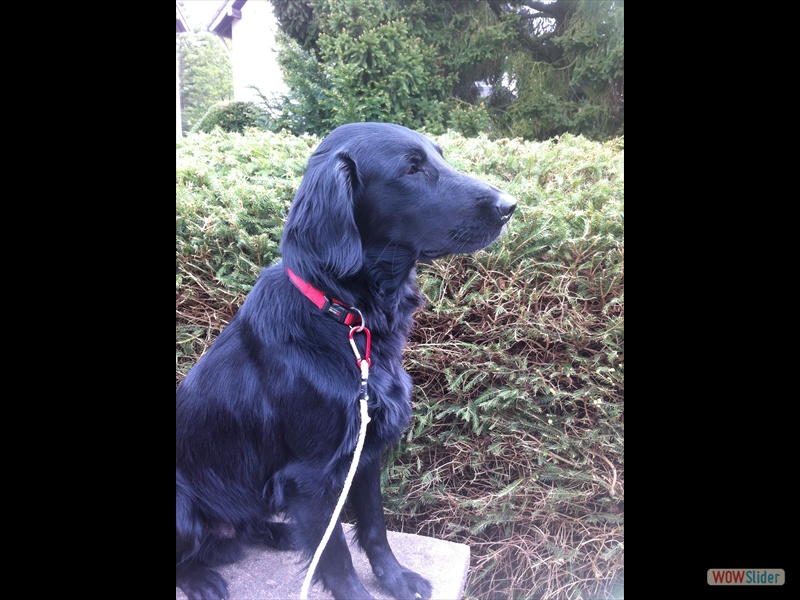 Cooper April 2014 (1)