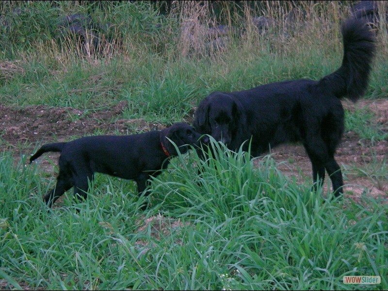 2005 Hayley Casber (2)