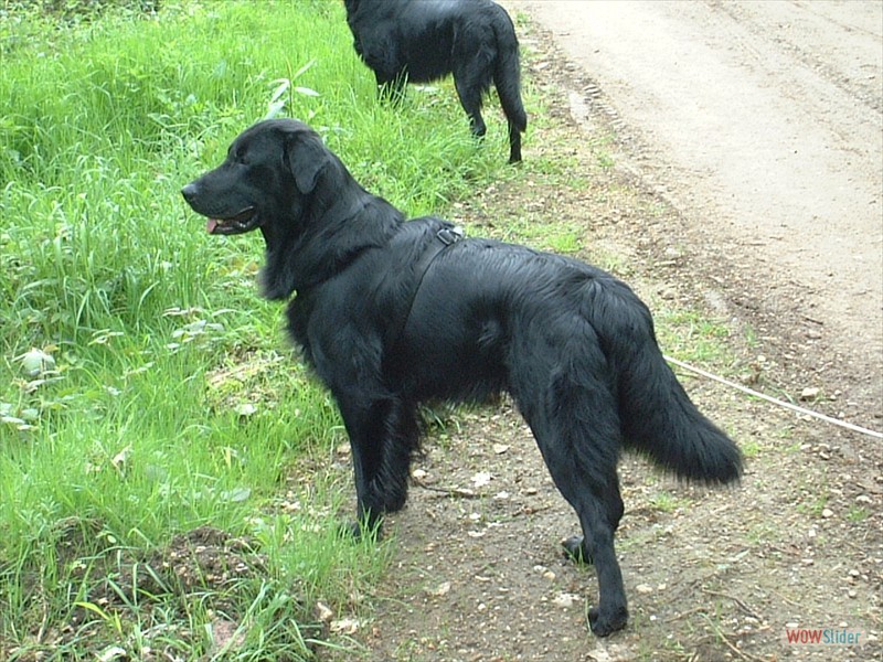 Casber 20-10-08