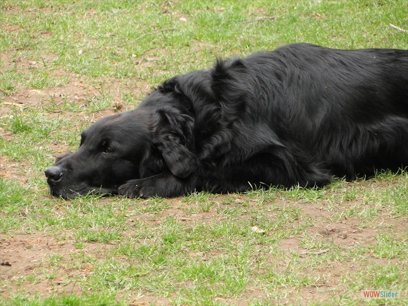 Casber Ostern 2010 (45)