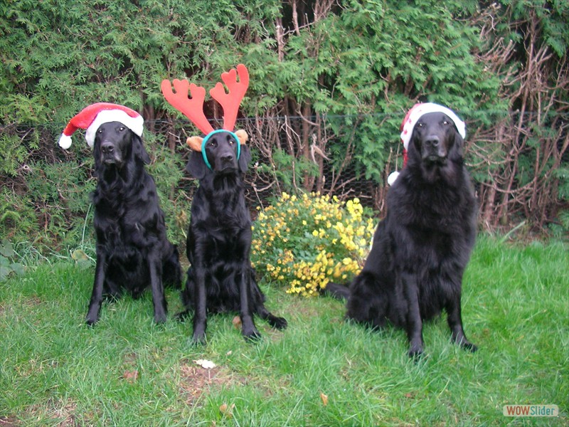 Dezember 2007
