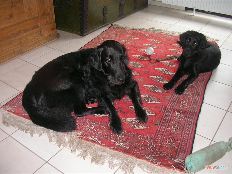 17-7-05, Hayley, Ivanhoe