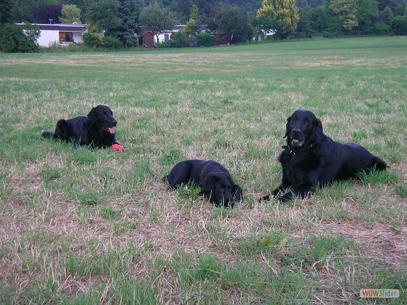 Casber, Hayley, Ivanhoe 2005