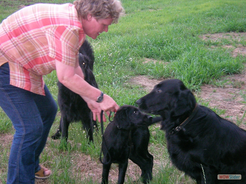 Sommer 05, Casber, Hayley, Ivy