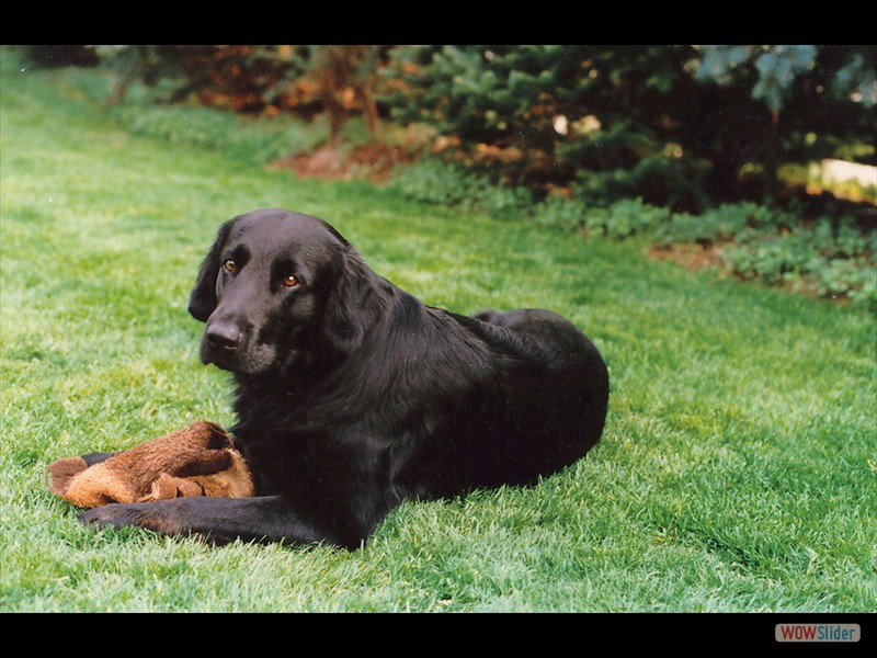 Melu mit Nuckeltuch