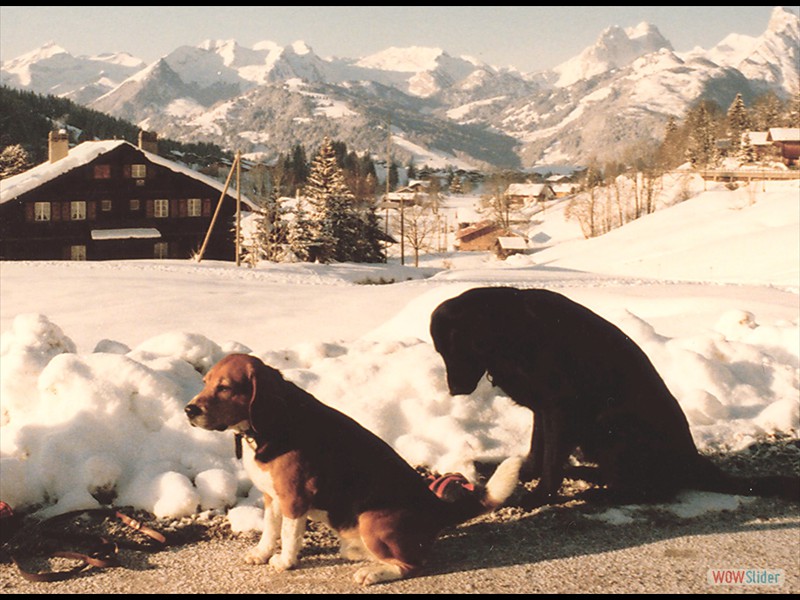 Melu Monti Schweiz