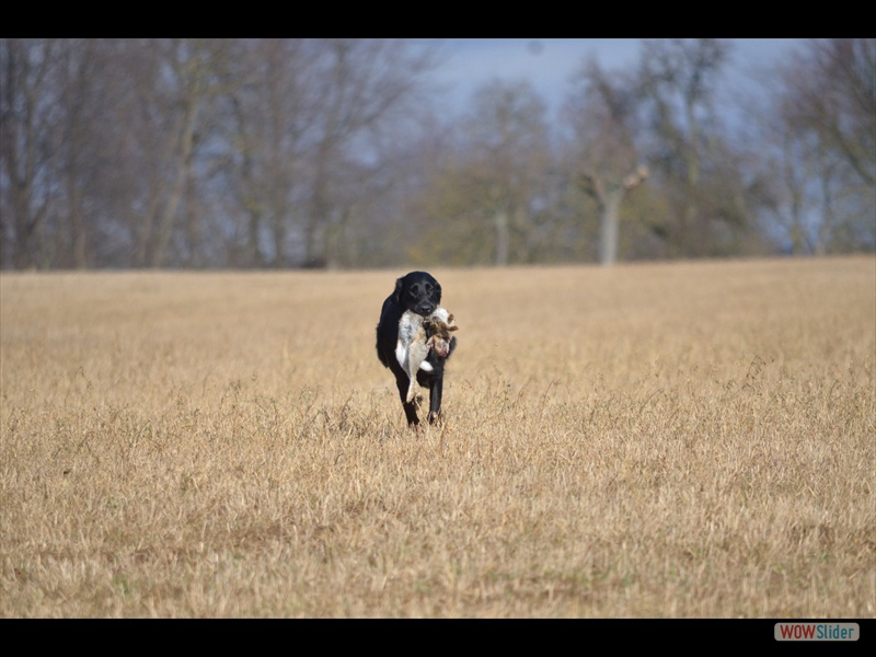 19-2-12 Alisha kommt zur�ck