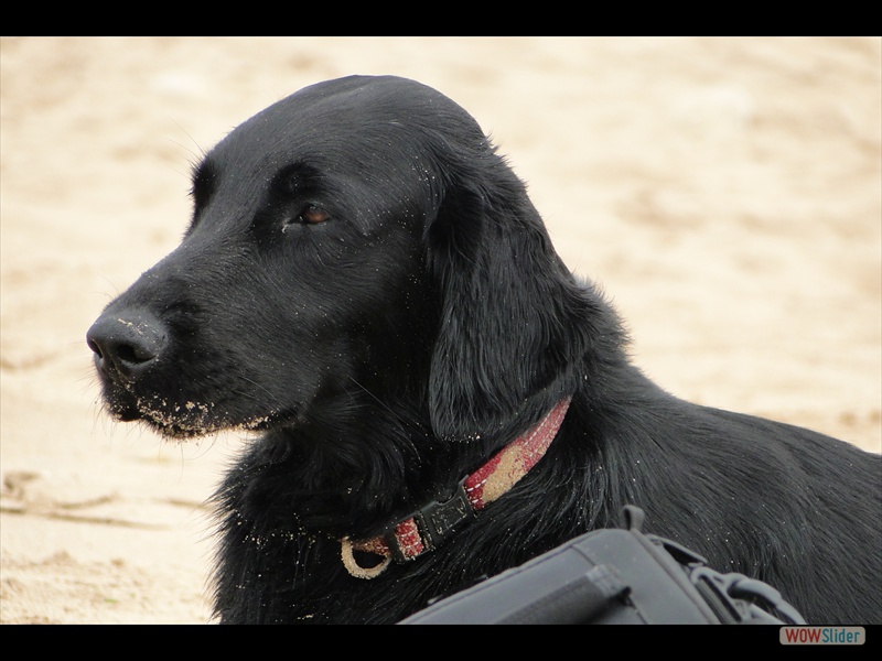 Frankreich 27-8-14 (32)