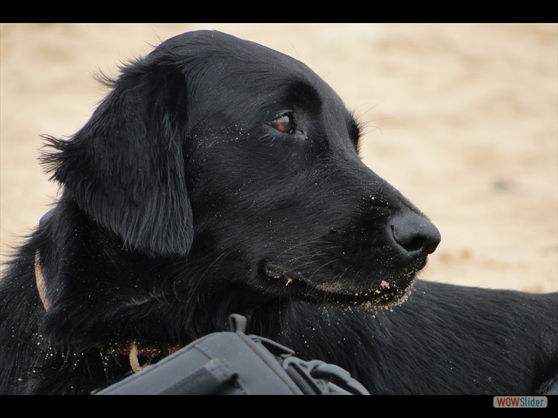 Frankreich 27-8-14 (36)