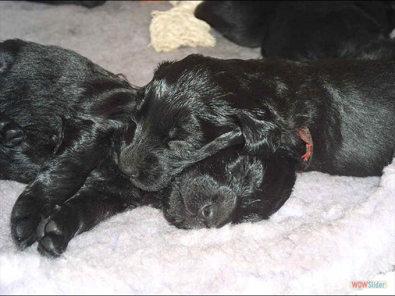 10-03-2005 ff (10)