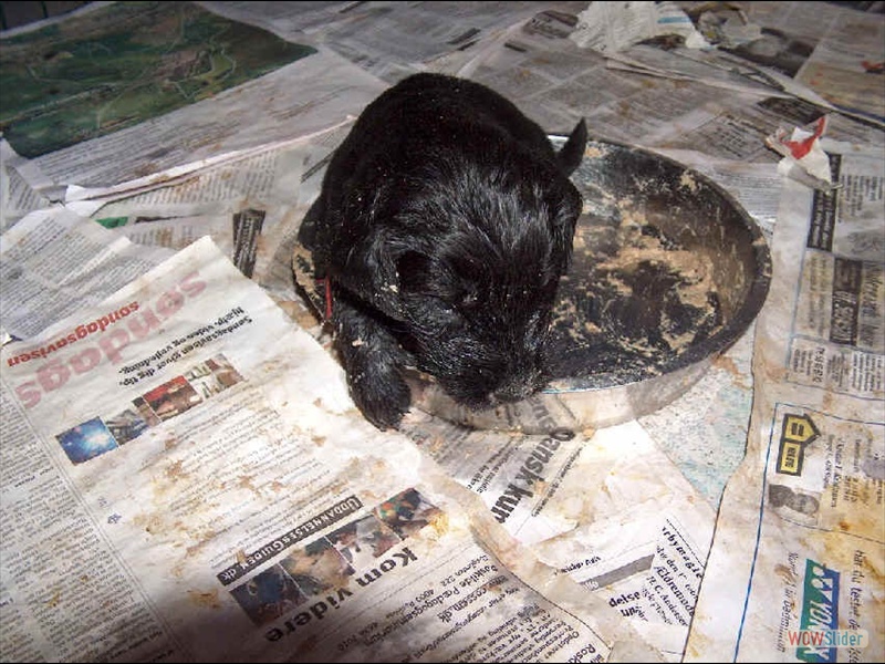 10-03-2005 ff (6)