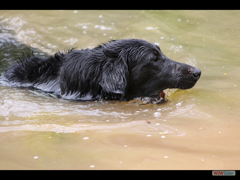 28.7.12 Eliot bei Fr�hlichs_4