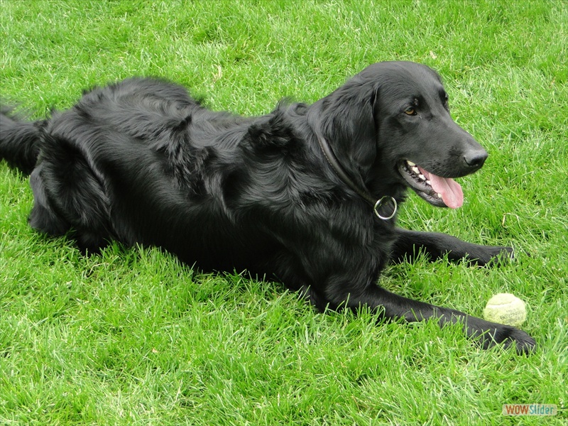 Eliot, 14-5-11(2)