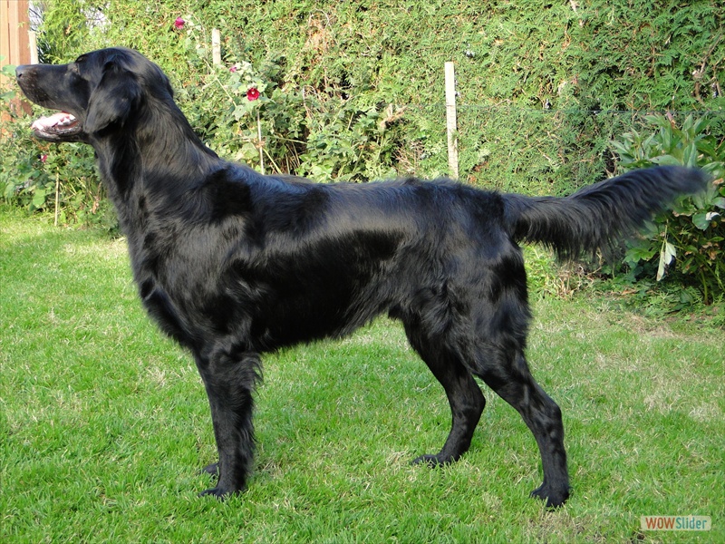 Eliot 23-9-2011 (5)