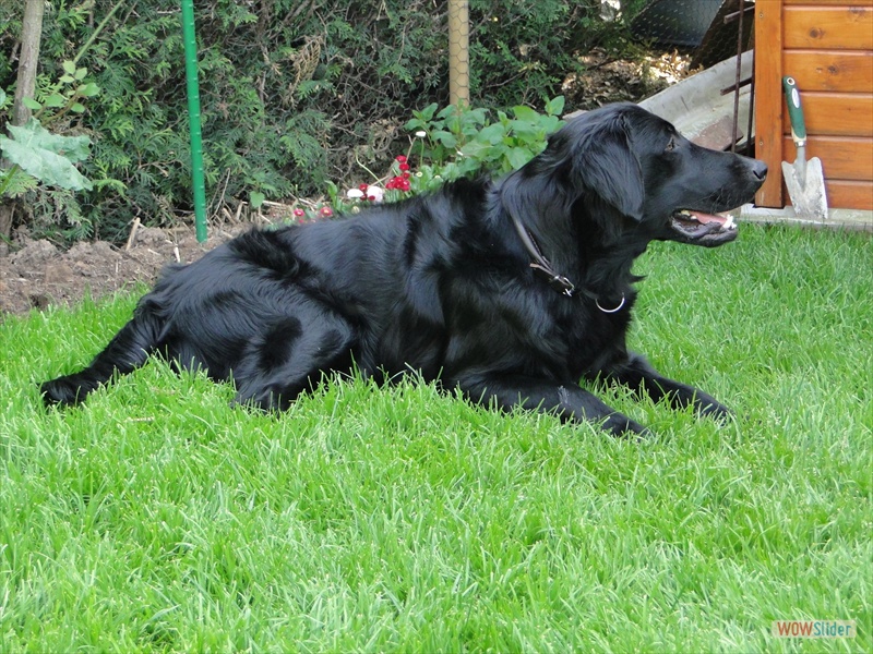 Eliot 7.5.11
