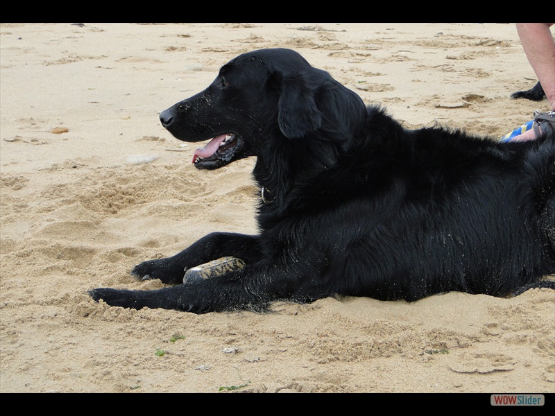 Frankreich 27-8-14 (41)