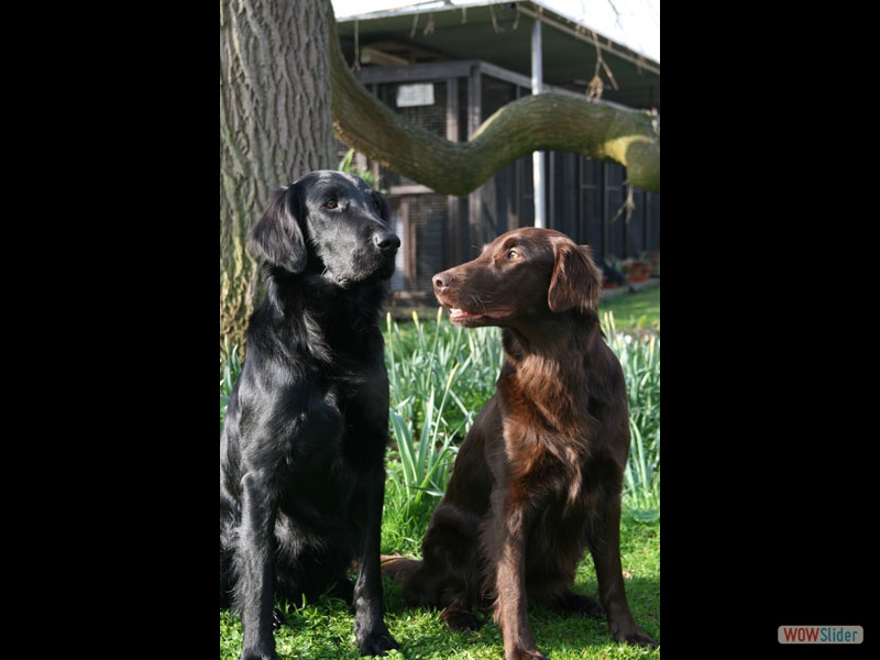 Mama und Papa