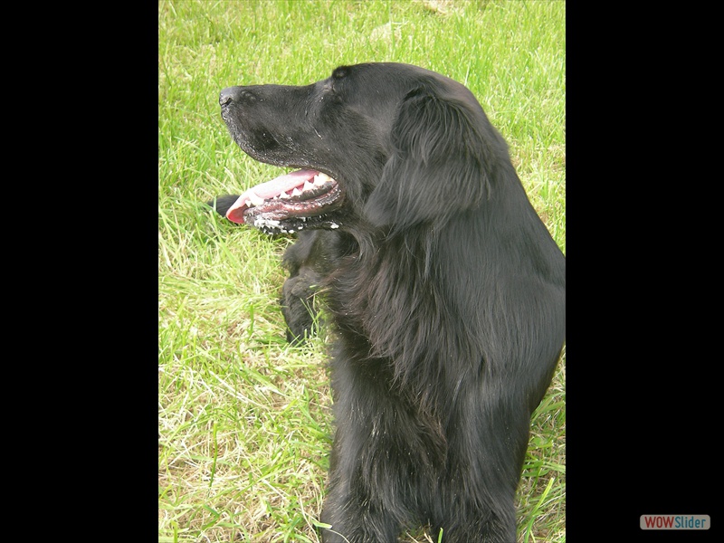 Sept 2008 (11)