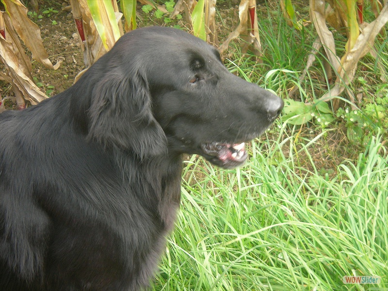 Sept 2008 (8)