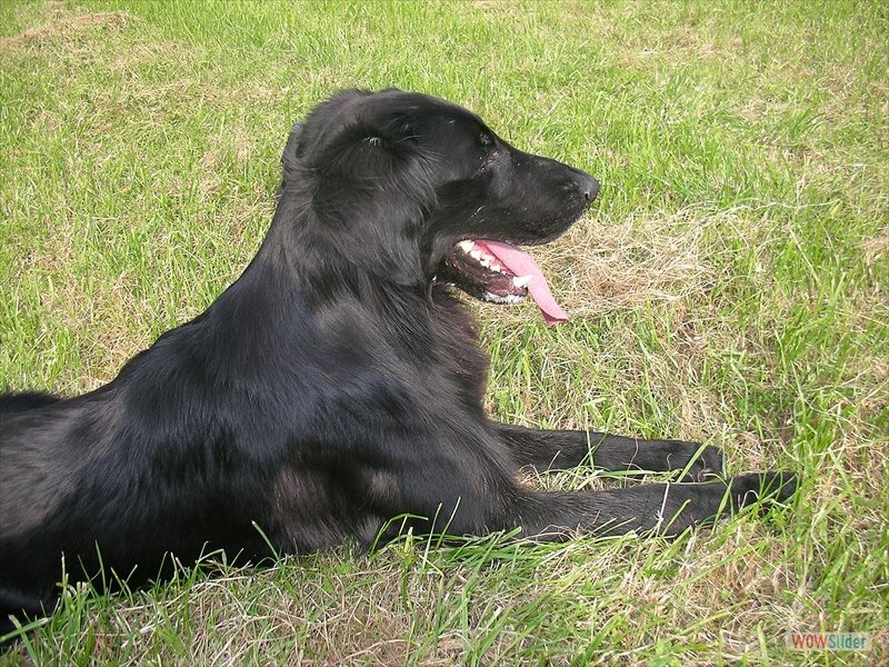 Sept 2008 (9)