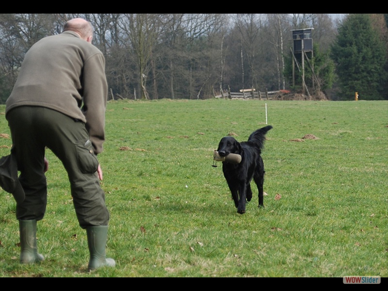 16-3-11 Einweisen (28)