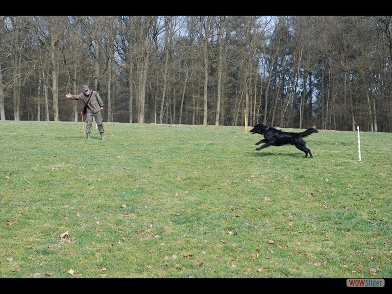 16-3-11 Einweisen (8)