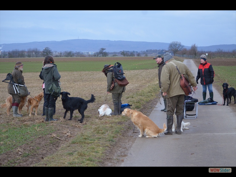 19-2-12 LangschleppenSeminar - Die ganze Gruppe