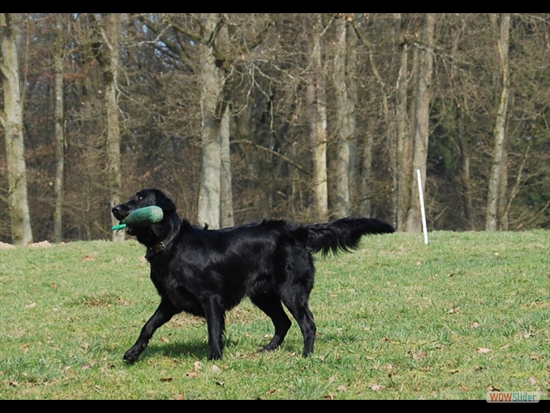 Eliot Einweisesem -M�rz 2011