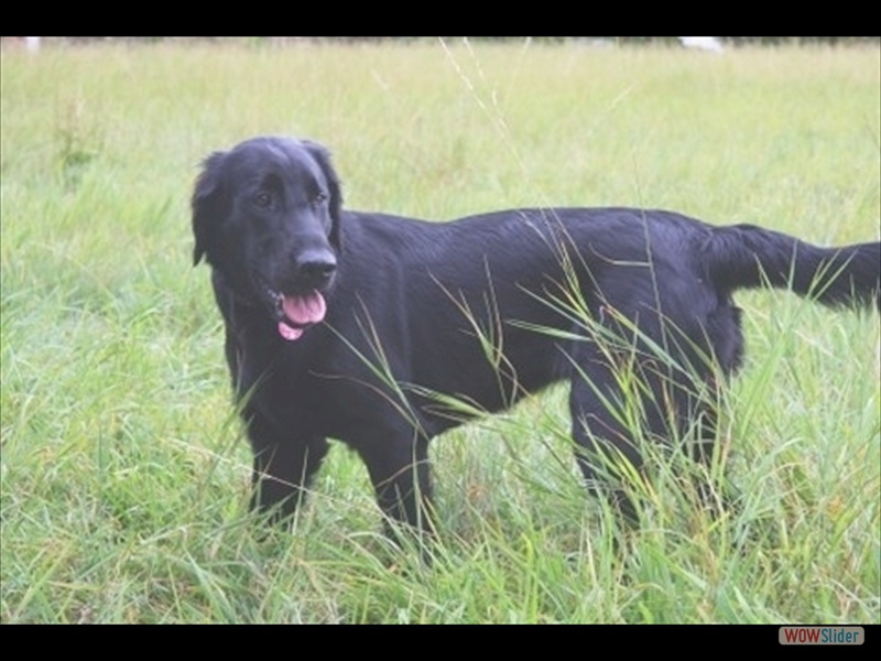 13.9. Anouk
