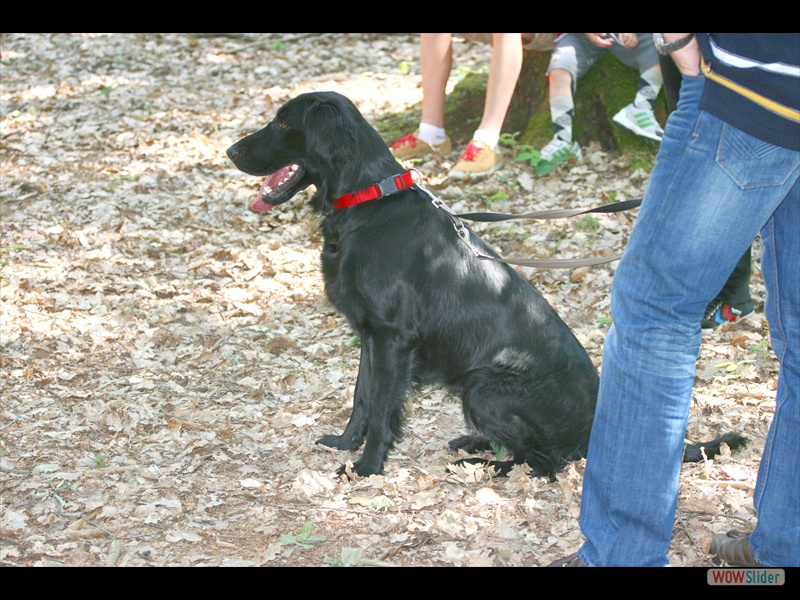 Anouk 2-6-11