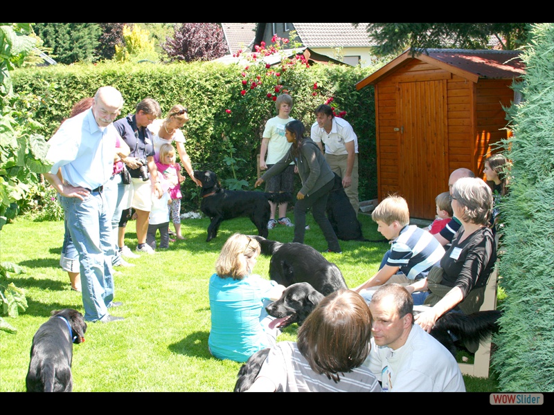 Wurftreffen 2-6-11