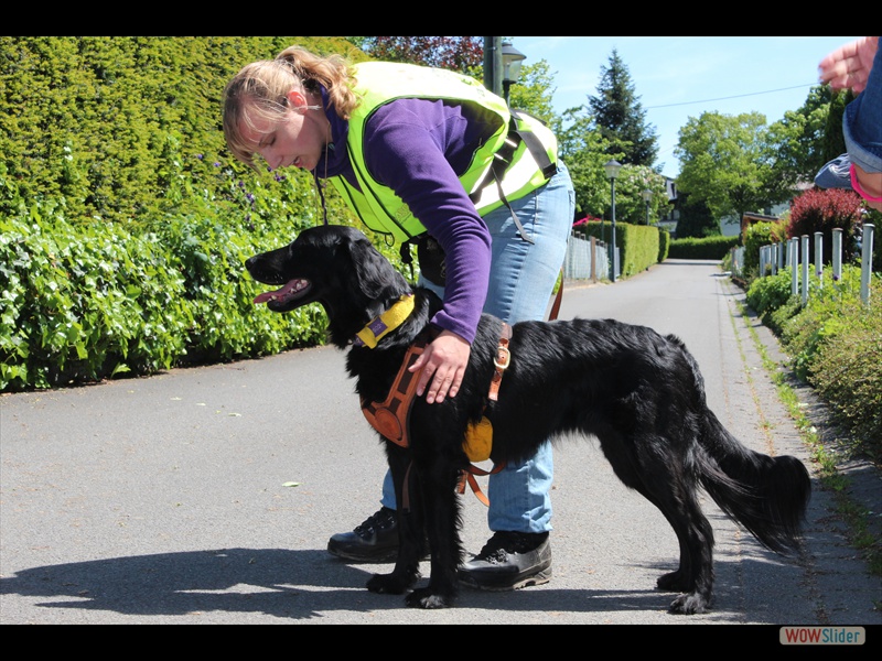 Milka trailt, Wurftreffen 2-6-13 (112)