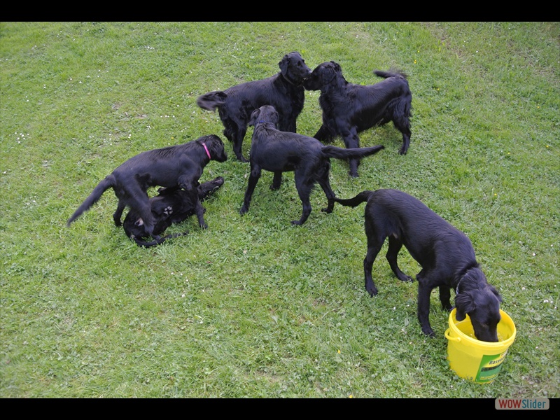Treffen 2-Juni-13 (1)