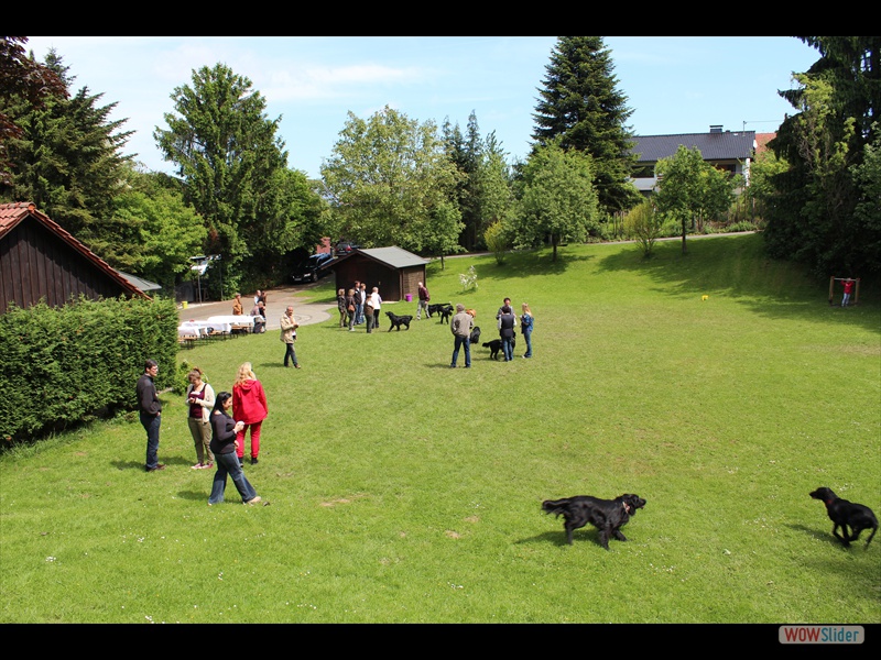 Wurftreffen 2-6-13 (53)