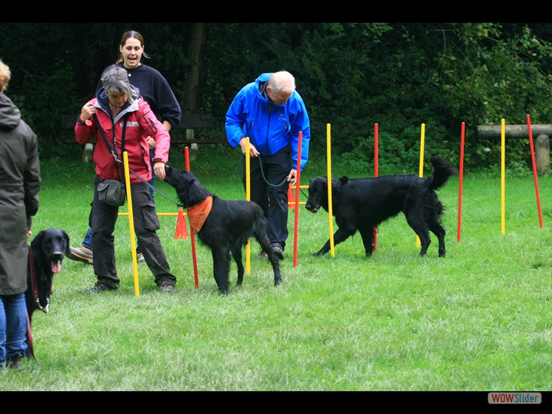 Agility, Wurftreffen 21-9-2014 (30)