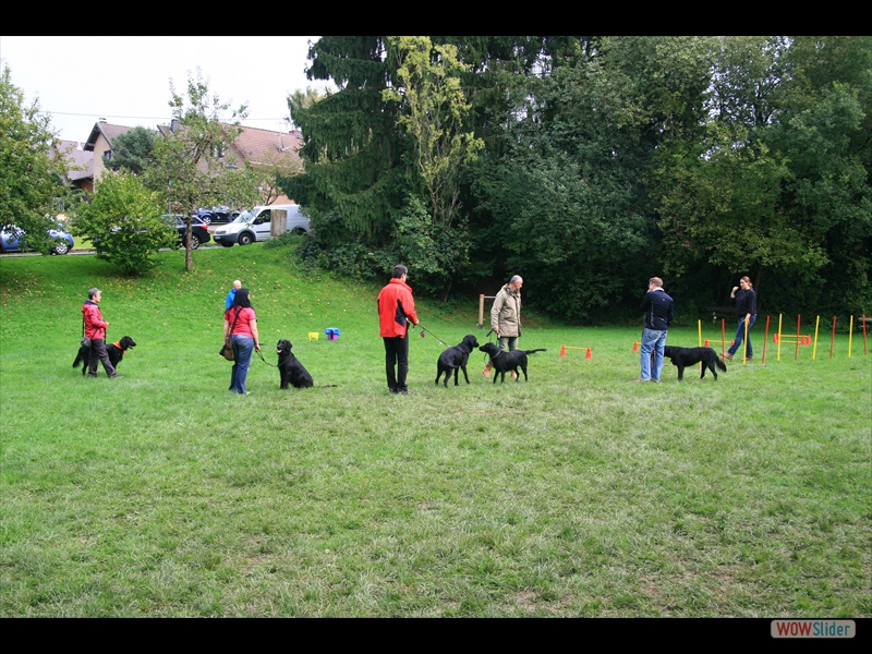 Welpentreffen 21-9-14 (37)