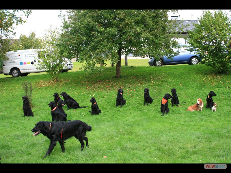 Wurftreffen 21-9-2014 (159)